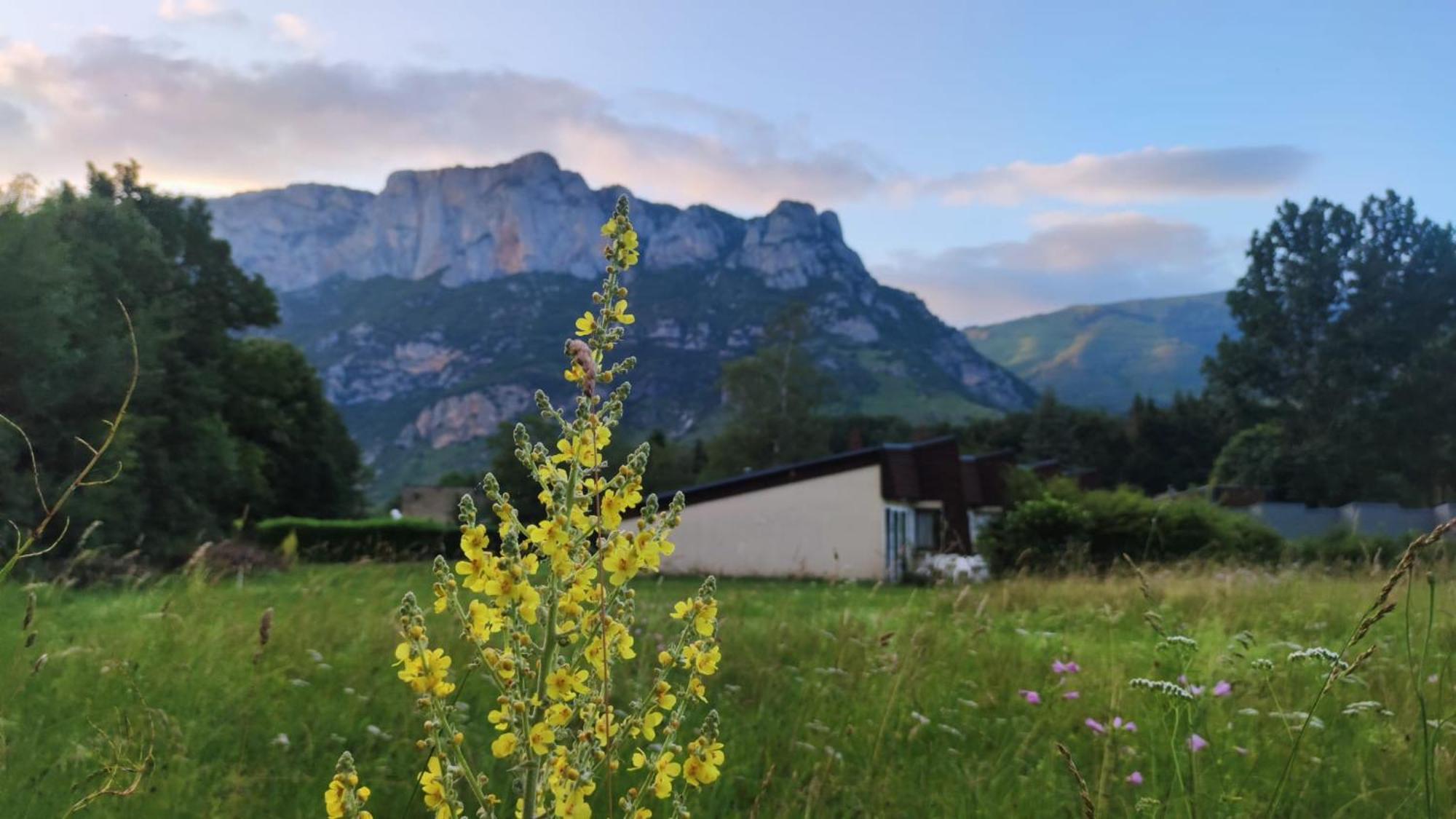 Les Gites De Beille Les Cabannes  Exterior foto